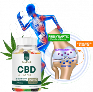 How does Bay Park cbd gummies work?