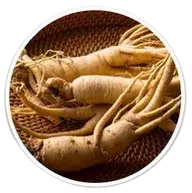 white korean ginseng